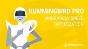 WPMUDEV Hummingbird Pro 3.4.5